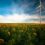 Sustainable energy and energy transition